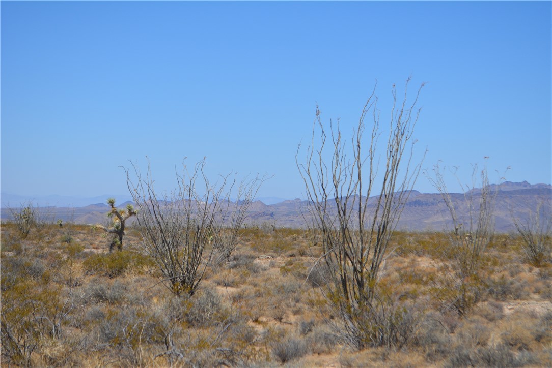 N2 Duquesne Road Yucca, AZ 86438 - Photo 21 of 49 View of mountain backdrop