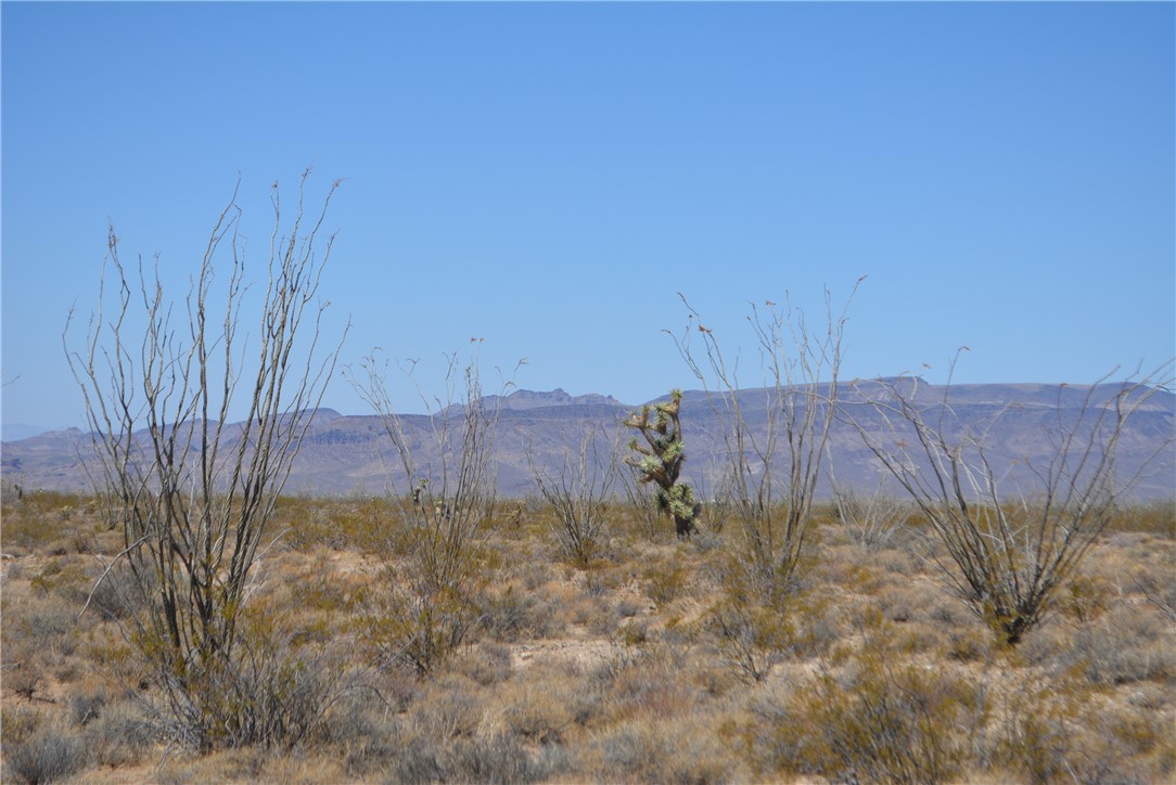 N2 Duquesne Road Yucca, AZ 86438 - Photo 22 of 49 View of mountain backdrop