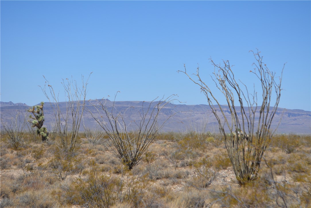 N2 Duquesne Road Yucca, AZ 86438 - Photo 23 of 49 View of mountain background