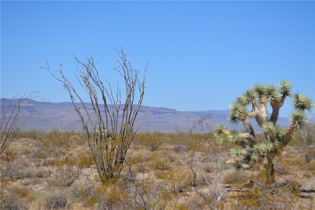 N2 Duquesne Road Yucca, AZ 86438 - Photo 24 of 49 Mountain view