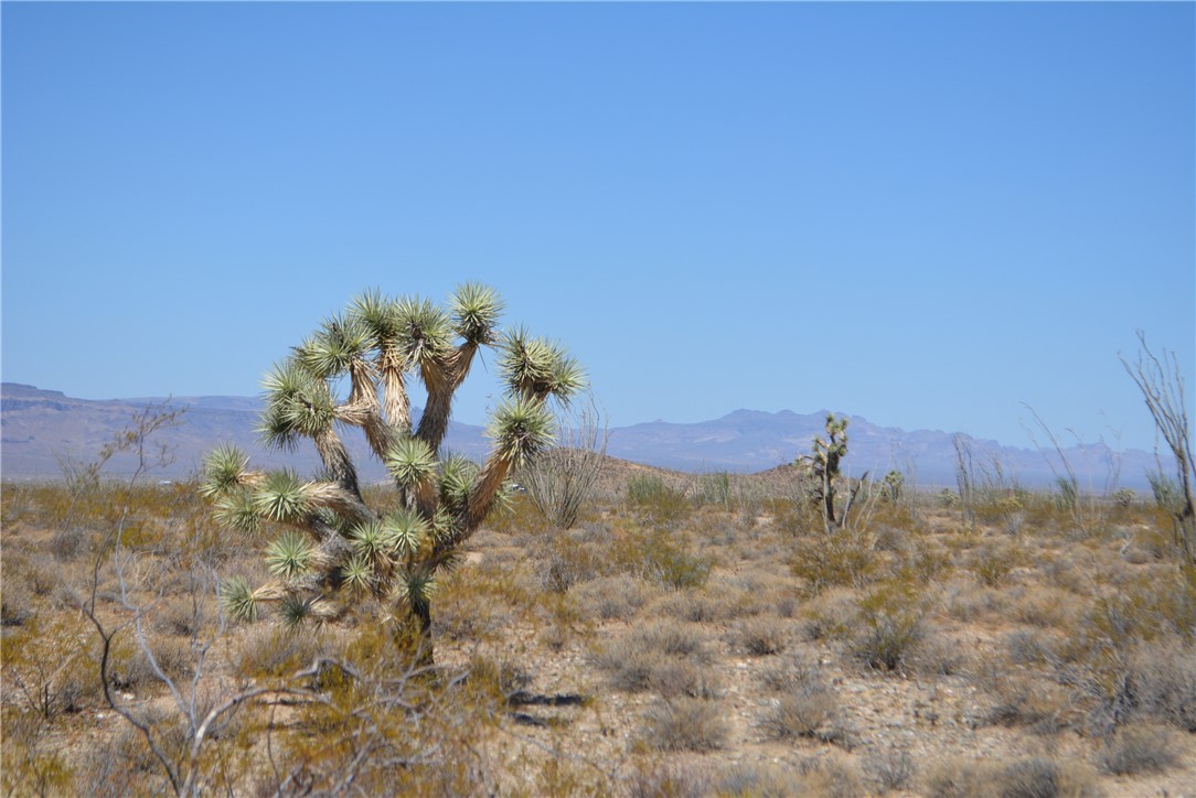 N2 Duquesne Road Yucca, AZ 86438 - Photo 25 of 49 Mountain view