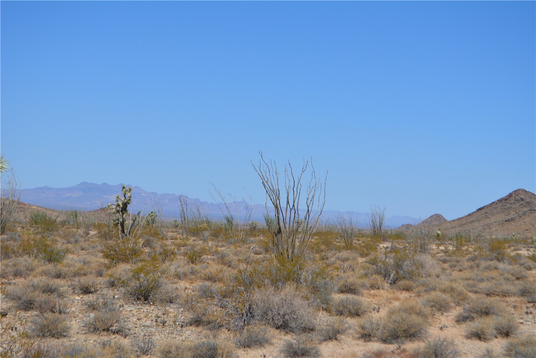 N2 Duquesne Road Yucca, AZ 86438 - Photo 26 of 49 View of mountain background