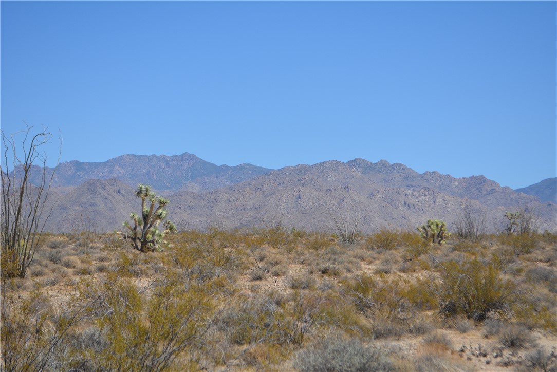 N2 Duquesne Road Yucca, AZ 86438 - Photo 30 of 49 View of mountain background