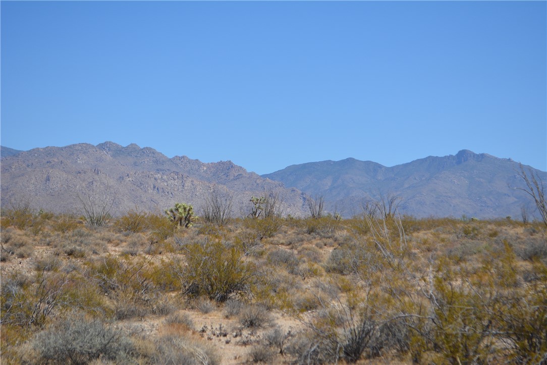 N2 Duquesne Road Yucca, AZ 86438 - Photo 31 of 49 Hualapai Mountain view