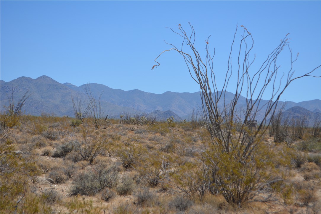 N2 Duquesne Road Yucca, AZ 86438 - Photo 34 of 49 Hualapai Mountain view