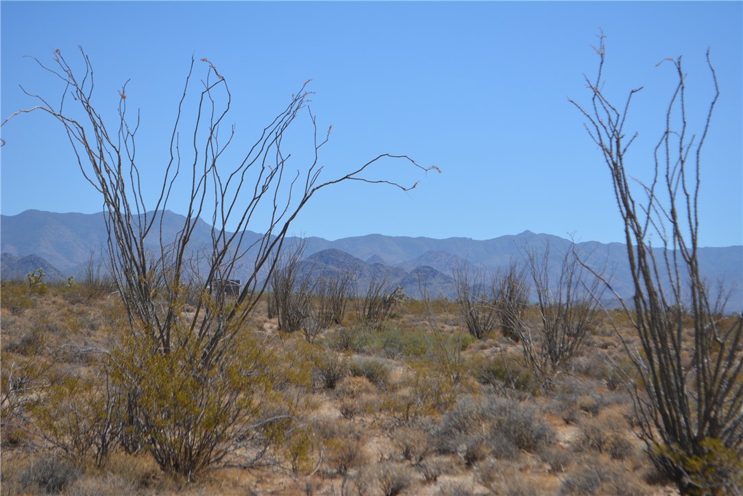 N2 Duquesne Road Yucca, AZ 86438 - Photo 35 of 49 Hualapai Mountain view