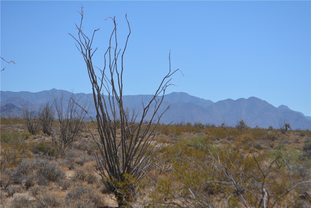 N2 Duquesne Road Yucca, AZ 86438 - Photo 36 of 49 Hualapai Mountain view