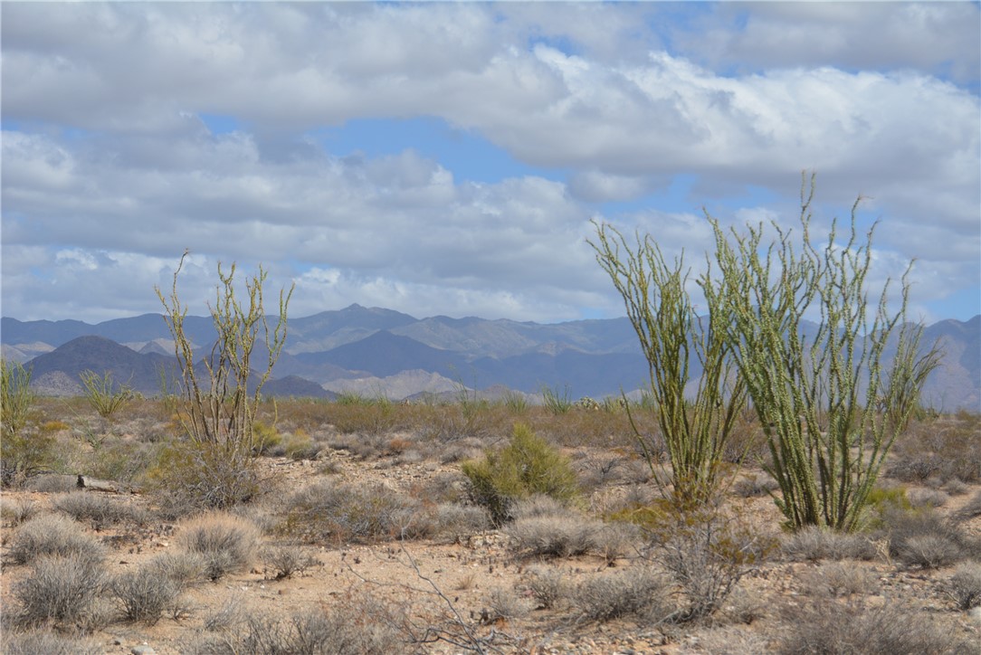N2 Duquesne Road Yucca, AZ 86438 - Photo 7 of 49 Mountain view
