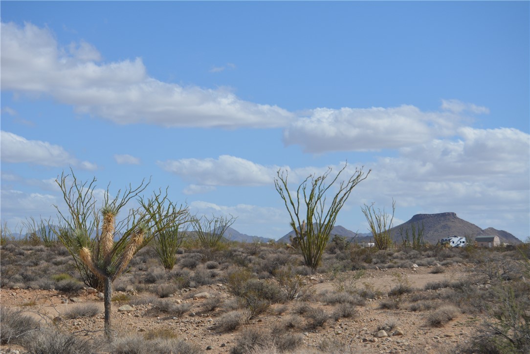 N2 Duquesne Road Yucca, AZ 86438 - Photo 8 of 49 View of mountain background