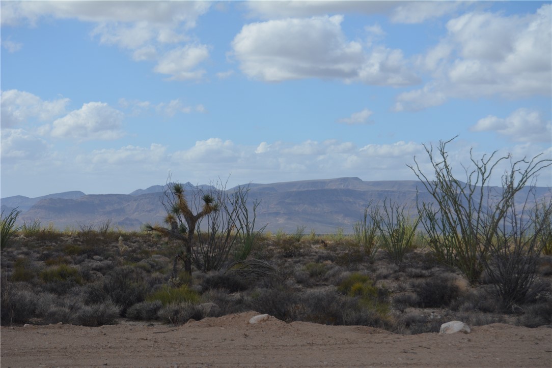N2 Duquesne Road Yucca, AZ 86438 - Photo 10 of 49 View of mountain background