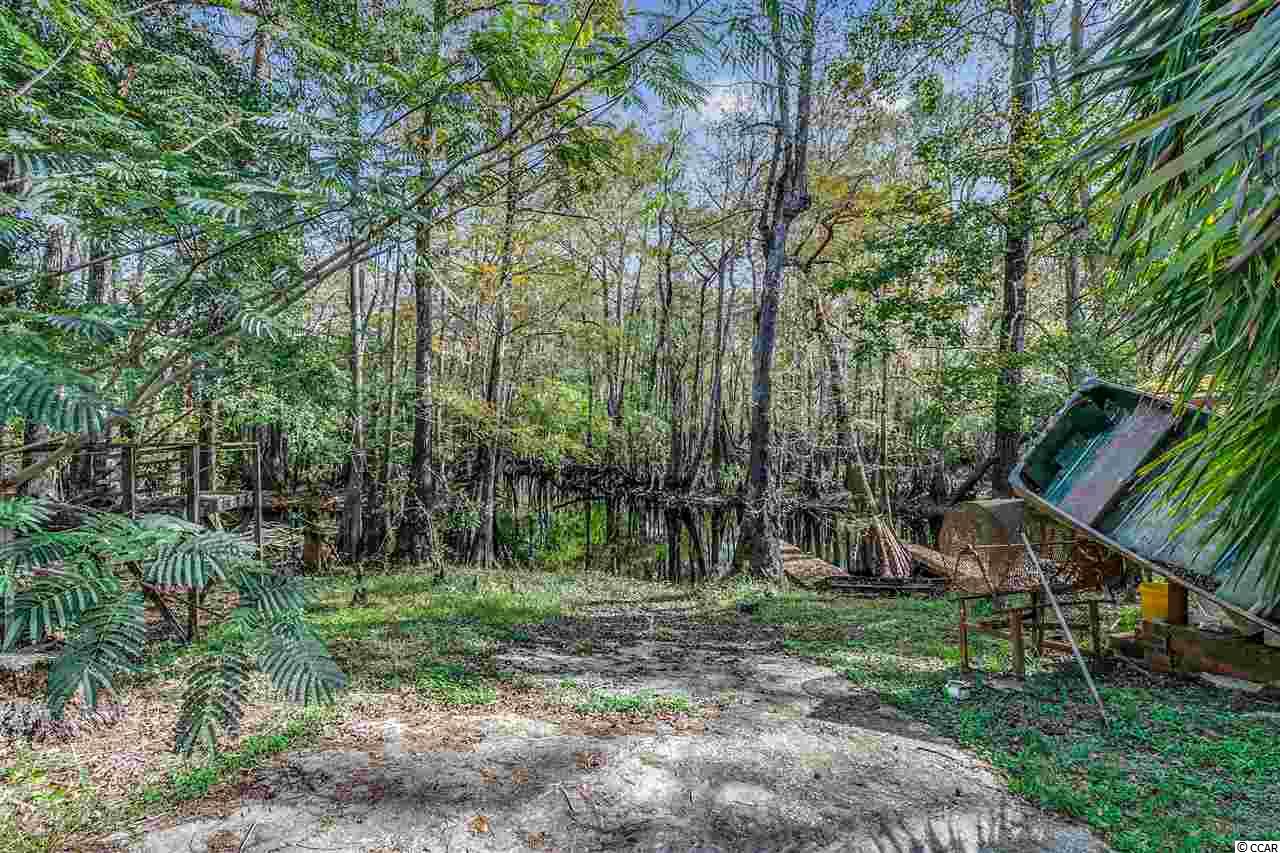 2979 Dill Lake Court Gresham, SC 29546 - Photo 19 of 24