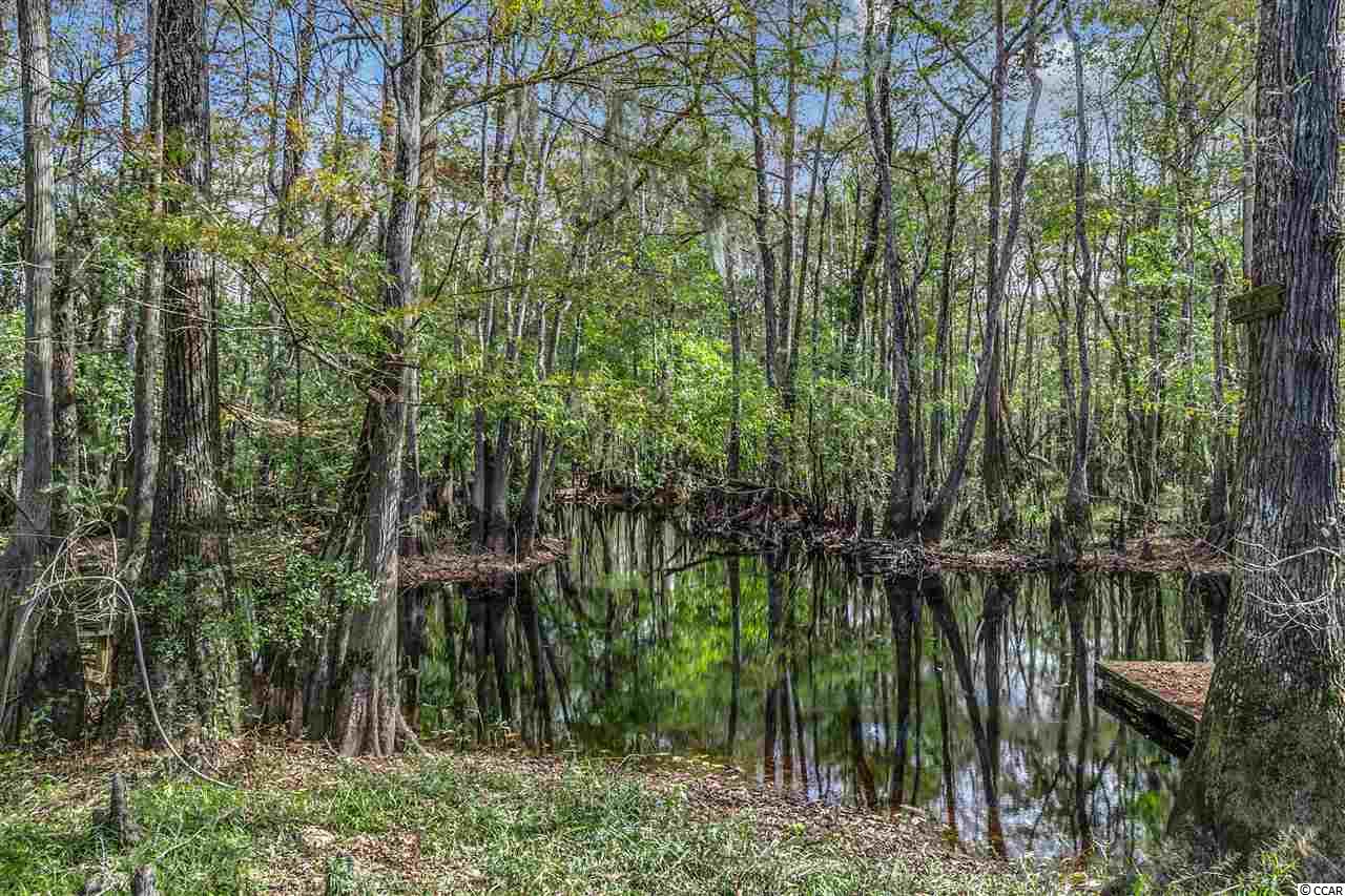 2979 Dill Lake Court Gresham, SC 29546 - Photo 20 of 24