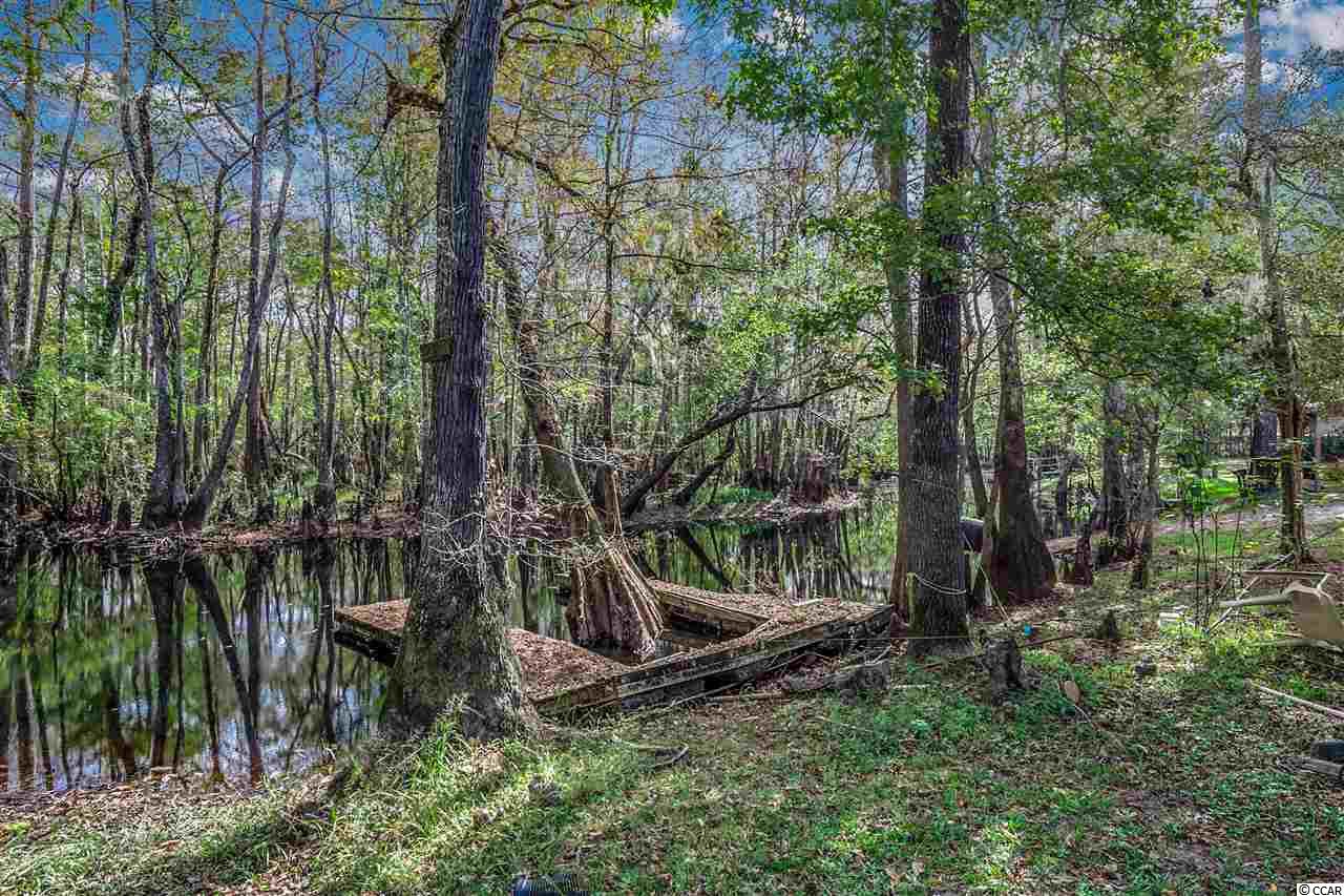 2979 Dill Lake Court Gresham, SC 29546 - Photo 21 of 24