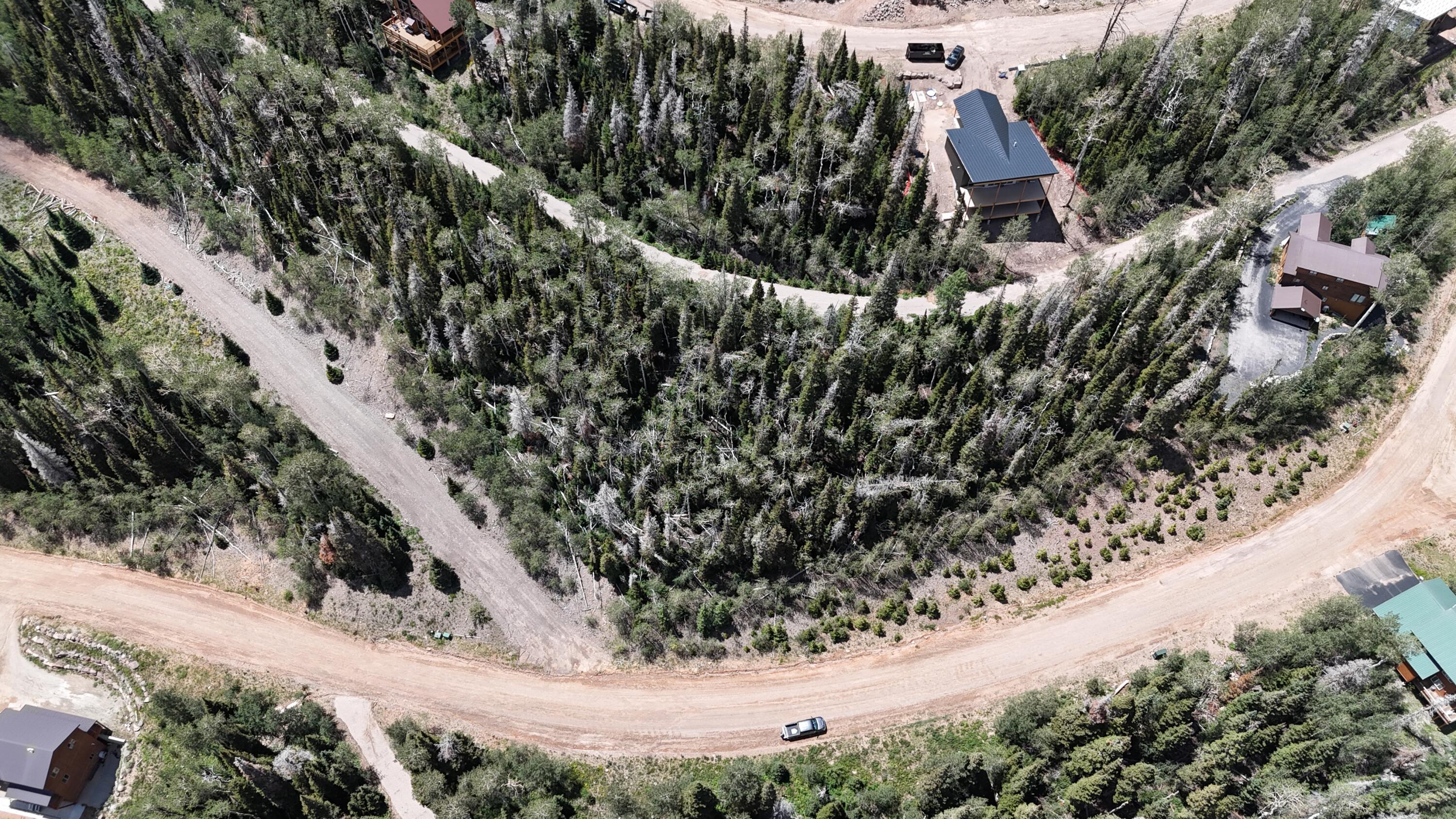 587 West Hunter Rdg Drive Brian Head, UT 84719 - Photo 4 of 11 dji_fly_20260730_140414_0347_17854420748