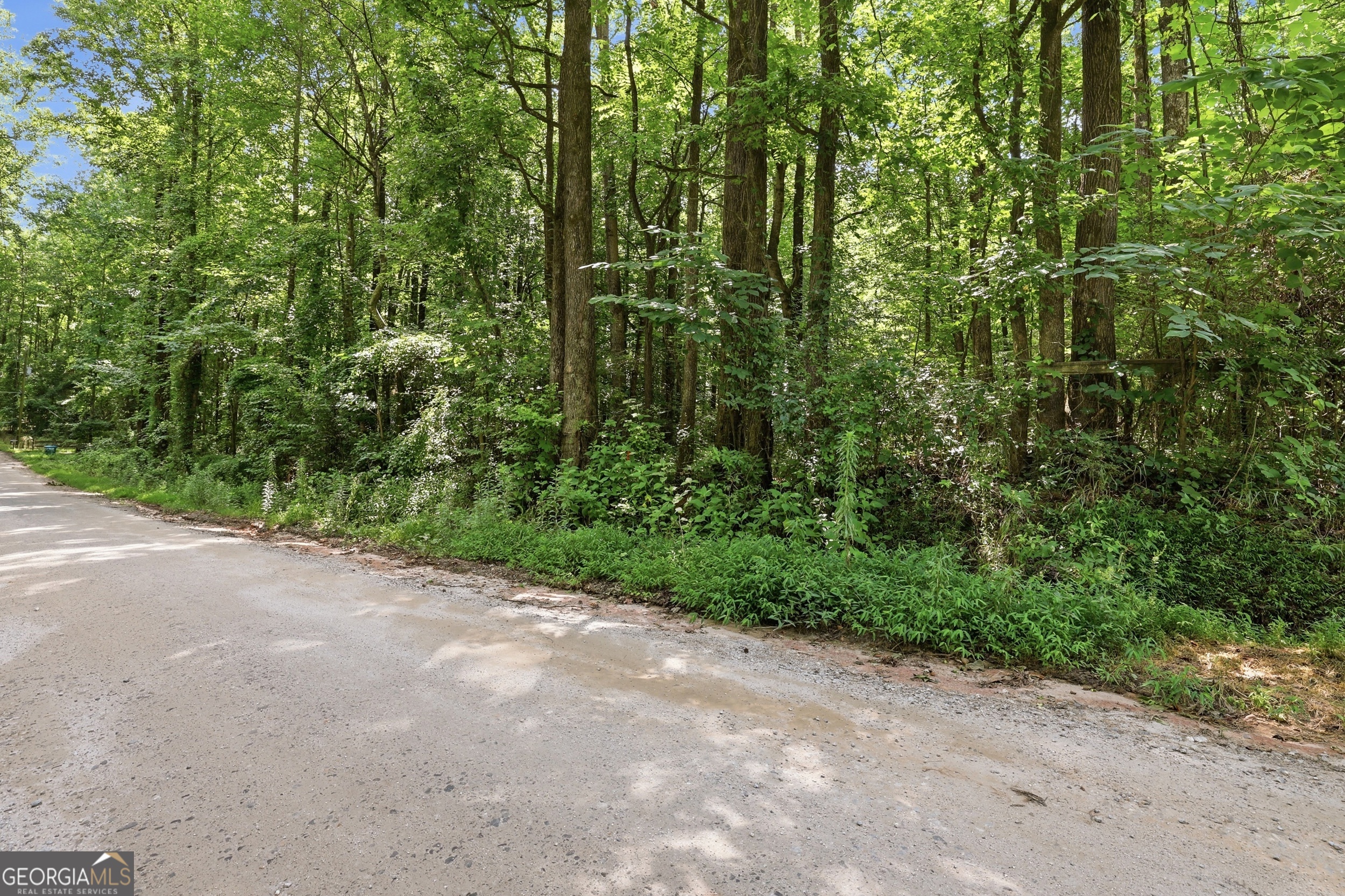 0 Lord Road Commerce, GA 30530 - Photo 4 of 22