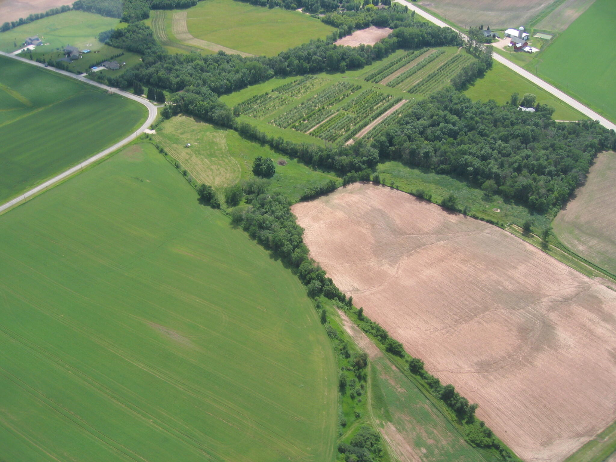 Lt0 Schumacher Road Malone, WI 53049 - Photo 4 of 13 IMG_2715