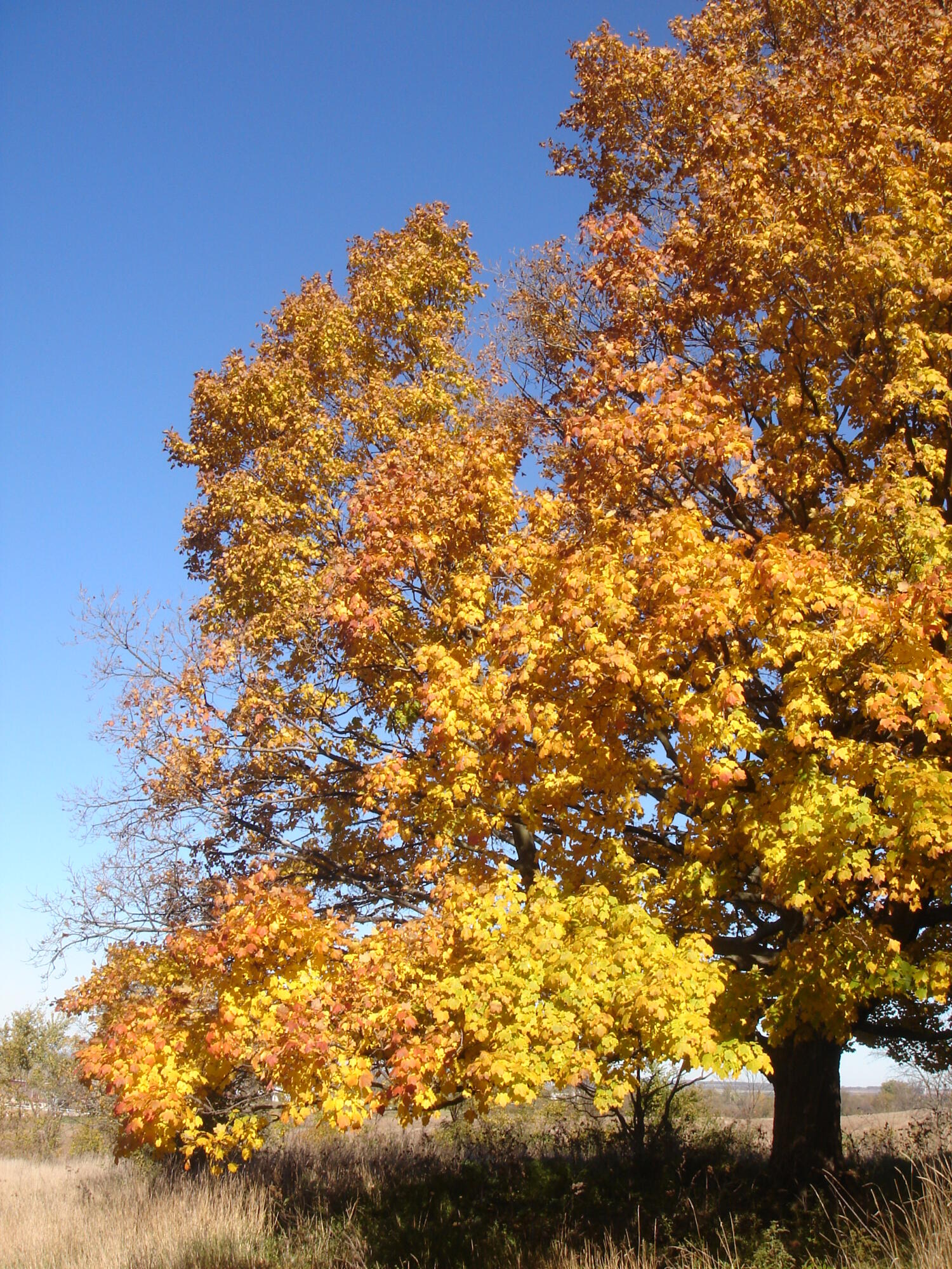 Lt0 Schumacher Road Malone, WI 53049 - Photo 5 of 13 145