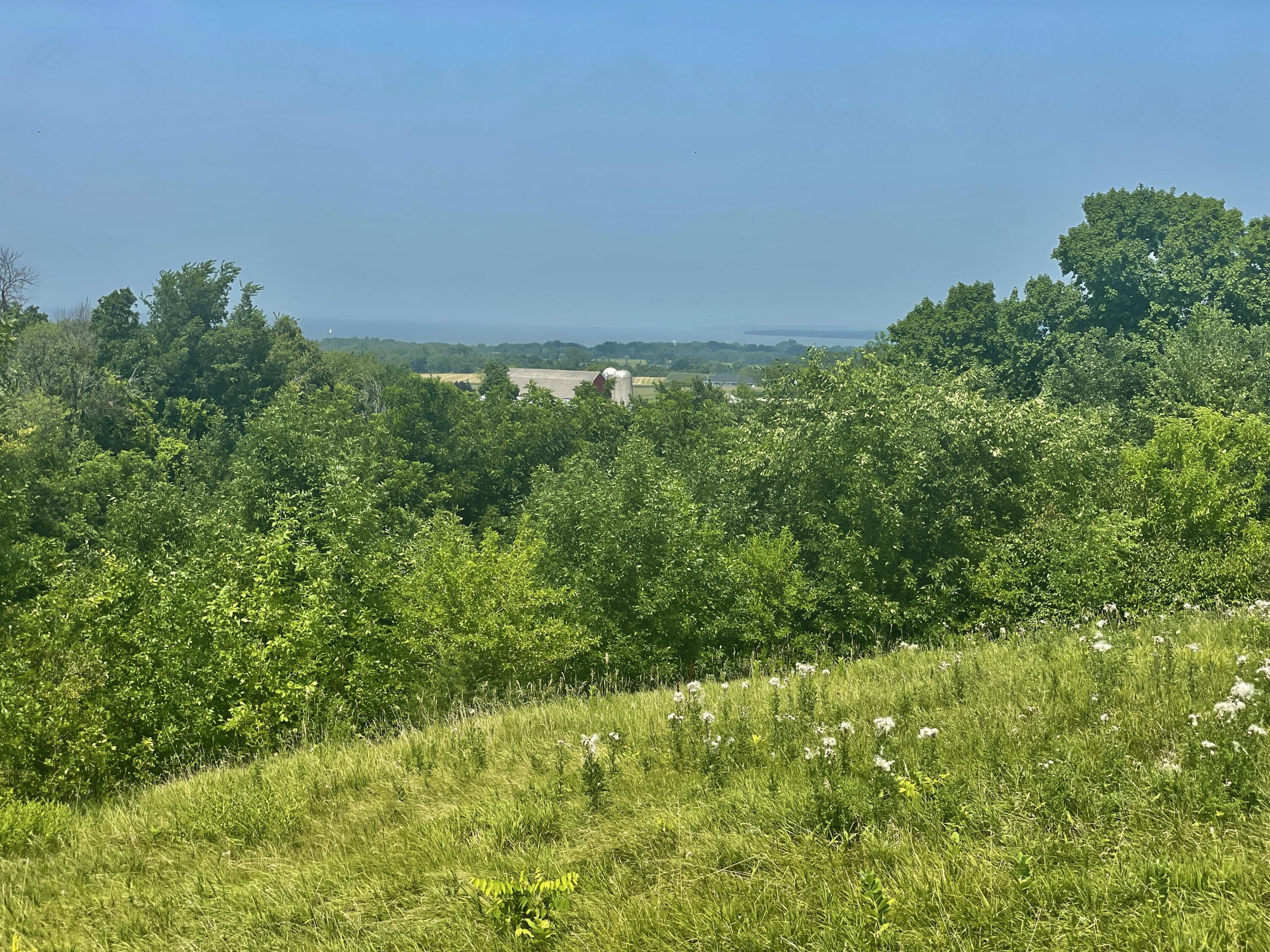 Lt0 Schumacher Road Malone, WI 53049 - Photo 6 of 13 IMG_89910