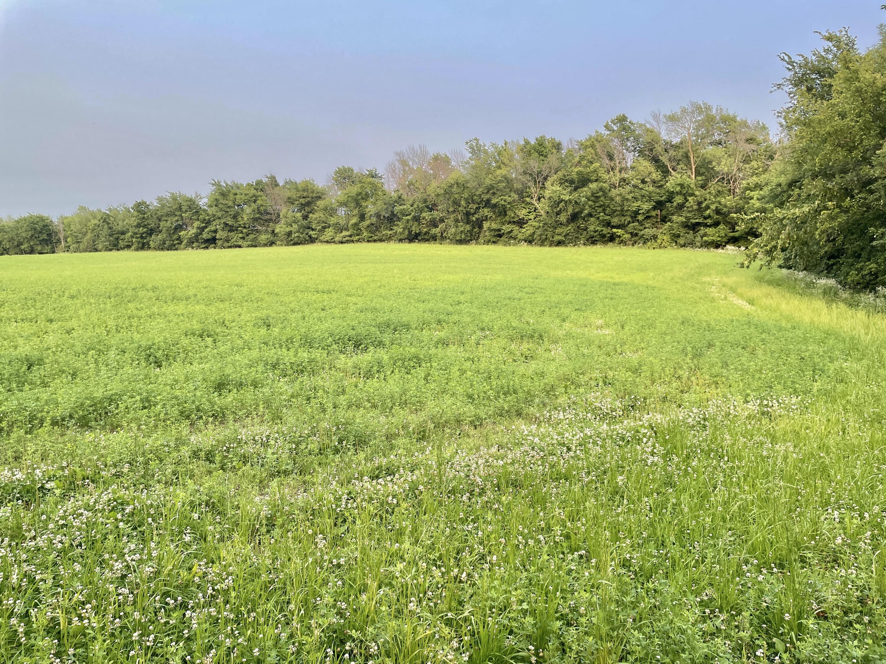 Lt0 Schumacher Road Malone, WI 53049 - Photo 7 of 13 IMG_E8912