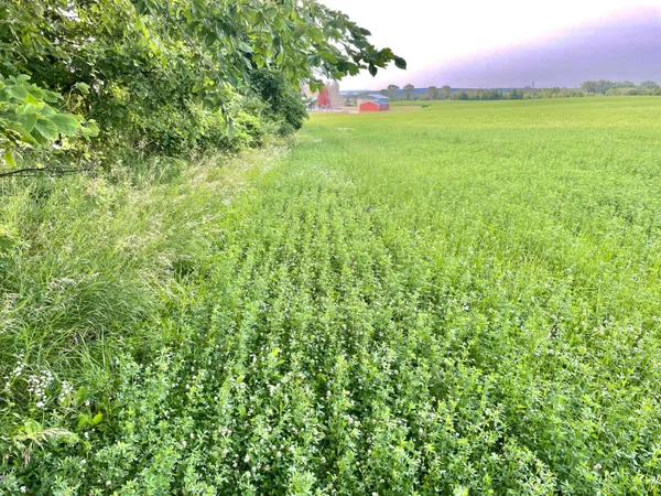 $389,900 | Lt0 Schumacher Road, Malone, WI 53049