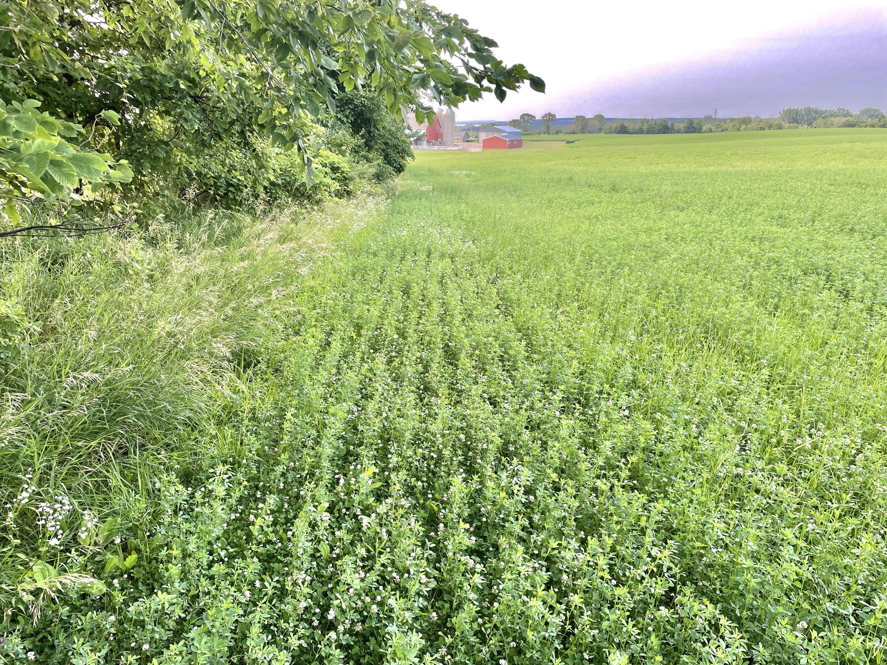 Lt0 Schumacher Road Malone, WI 53049 - Photo 8 of 13 IMG_E8914