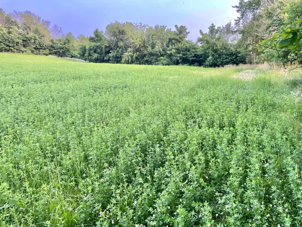 $389,900 | Lt0 Schumacher Road, Malone, WI 53049