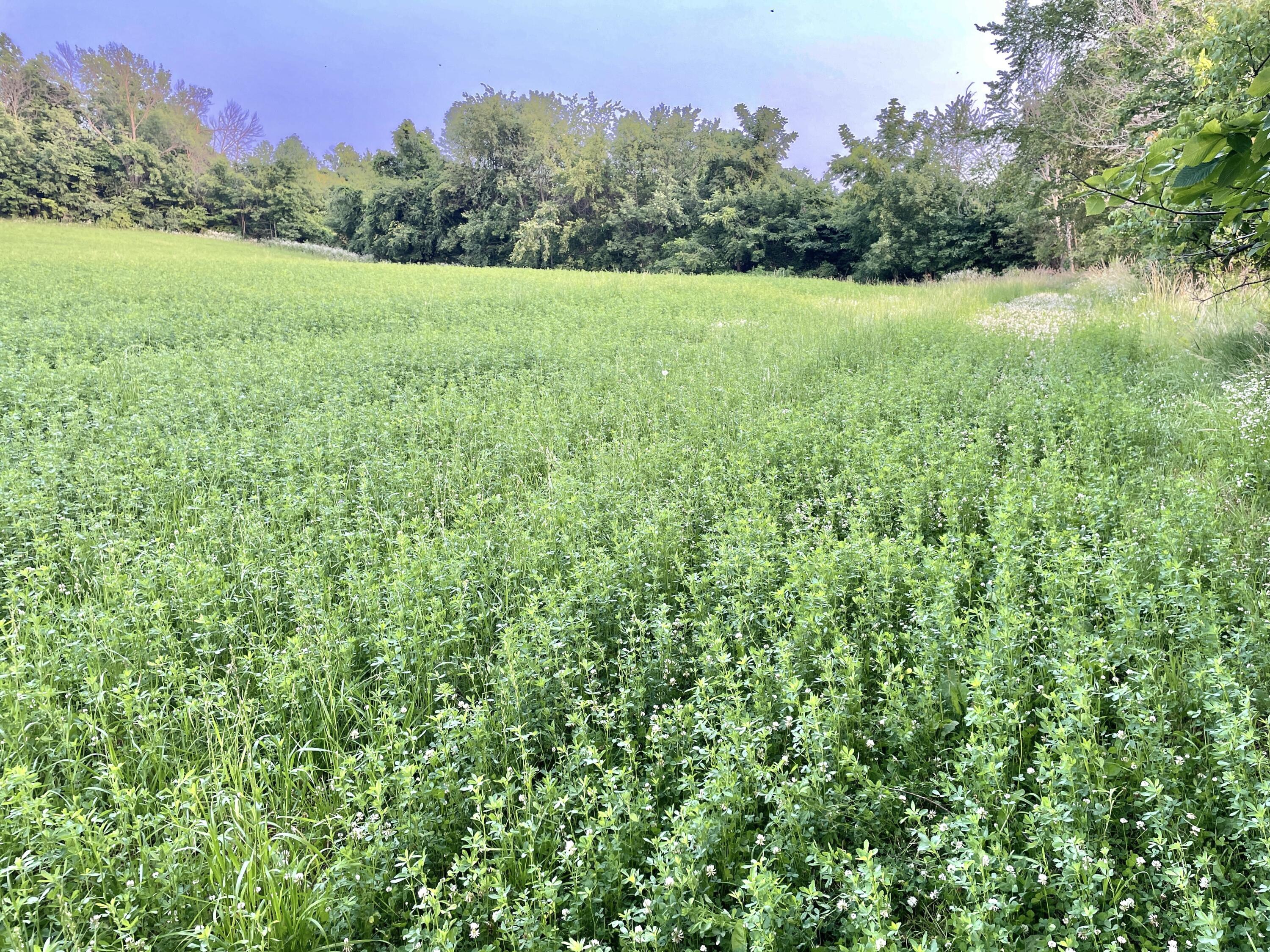 Lt0 Schumacher Road Malone, WI 53049 - Photo 9 of 13 IMG_E8915