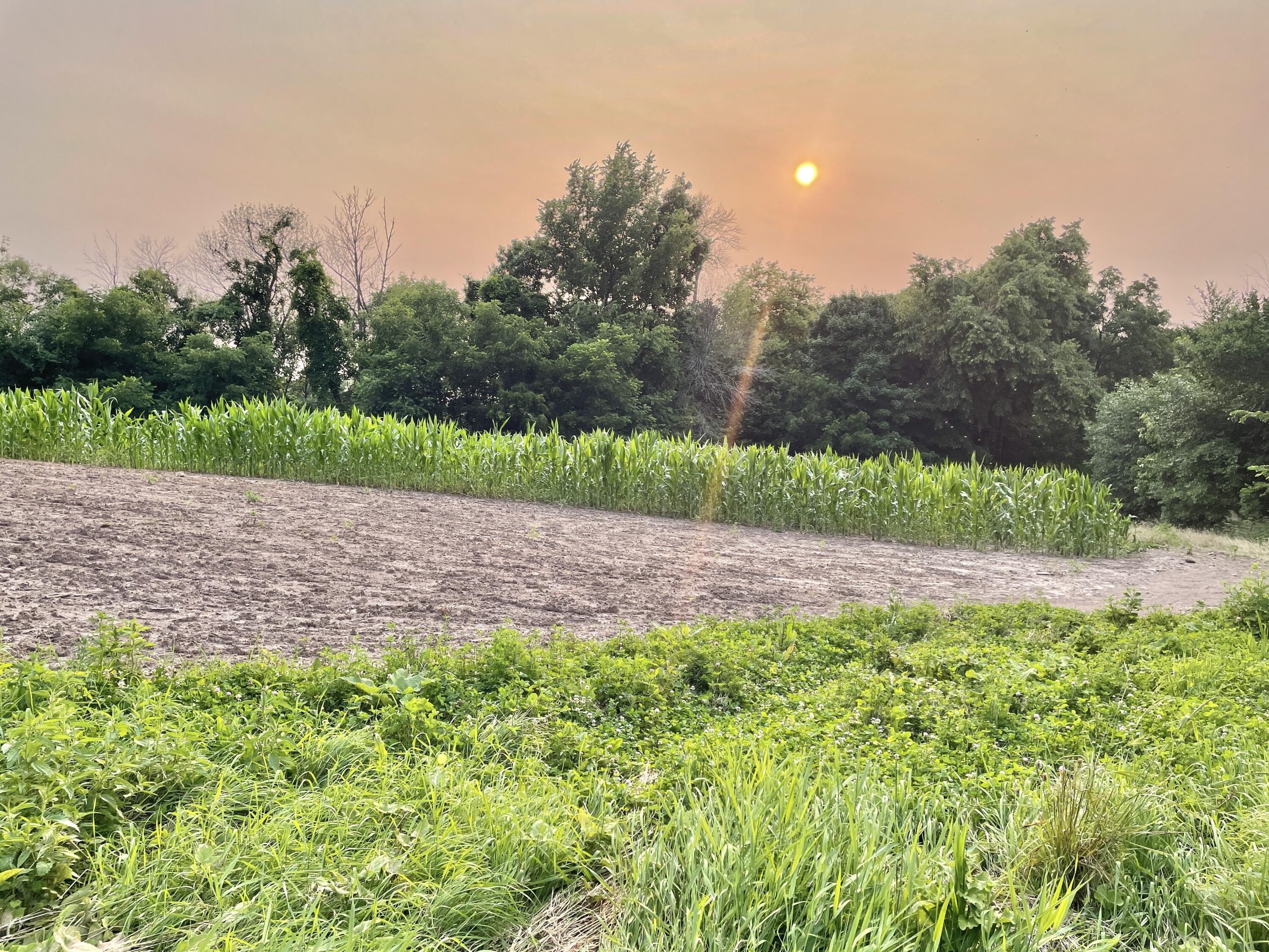 Lt0 Schumacher Road Malone, WI 53049 - Photo 10 of 13 IMG_E8917