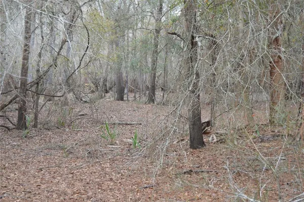 $198,999 | 1459 Northeast 743rd Street, Old Town, FL 32680