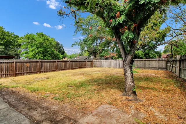 a view of a yard with tree s