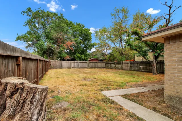 a view of a backyard