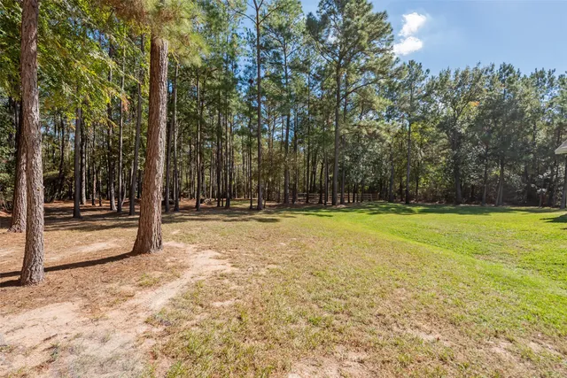 a view of swimming pool with trees