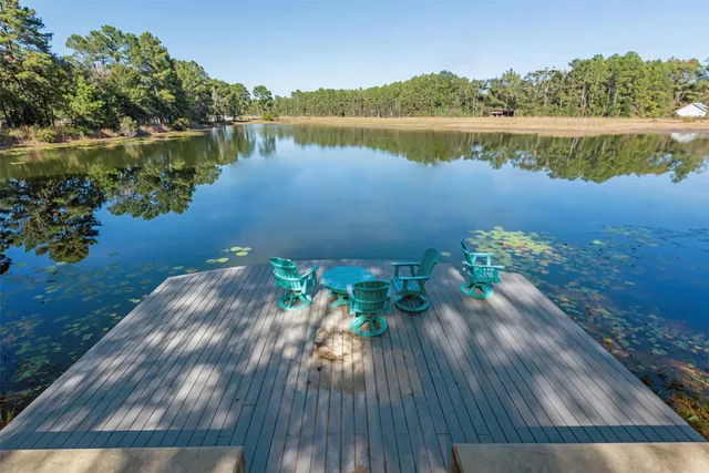 a view of a park with potted plants
