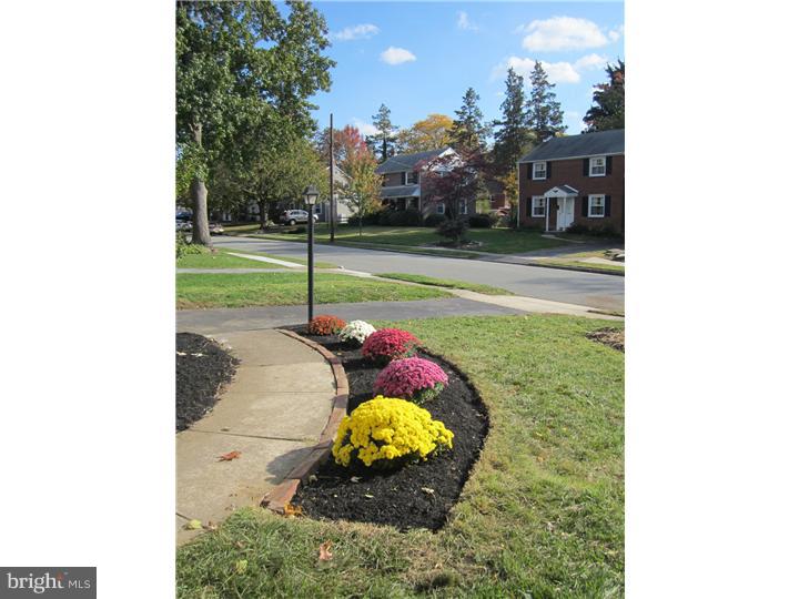 313 Ridgewood Road Springfield, PA 19064 - Photo 4 of 25 View from Front Door