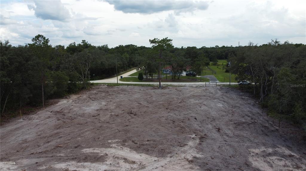 35391 Overcup Drive Webster, FL 33597 - Photo 12 of 16 a view of a dry yard with trees
