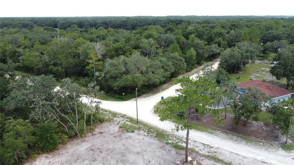 35391 Overcup Drive Webster, FL 33597 - Photo 13 of 16 a view of a forest with a tree