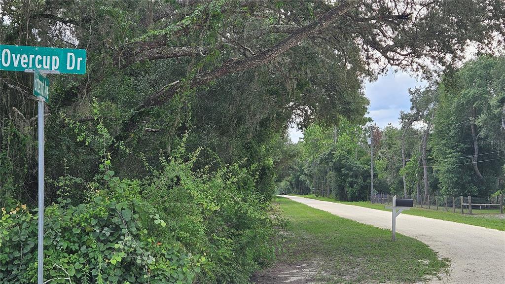 35391 Overcup Drive Webster, FL 33597 - Photo 16 of 16 a view of a street sign of a park