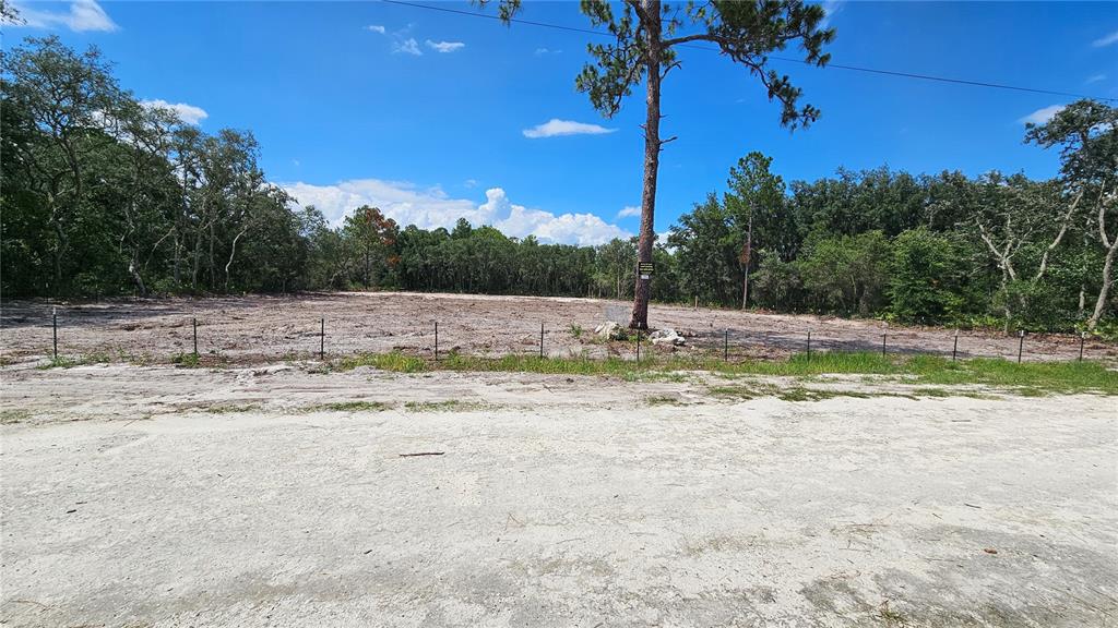 35391 Overcup Drive Webster, FL 33597 - Photo 3 of 16 a view of a swimming pool with a yard