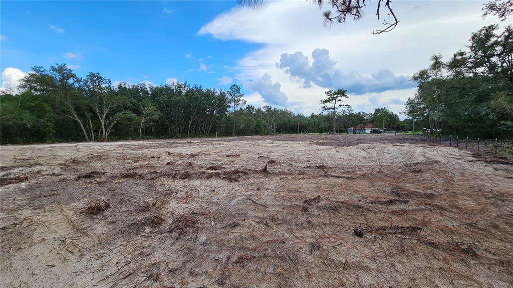 35391 Overcup Drive Webster, FL 33597 - Photo 5 of 16 a view of dirt field with trees