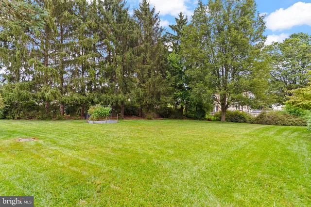 a view of a field of grass and trees
