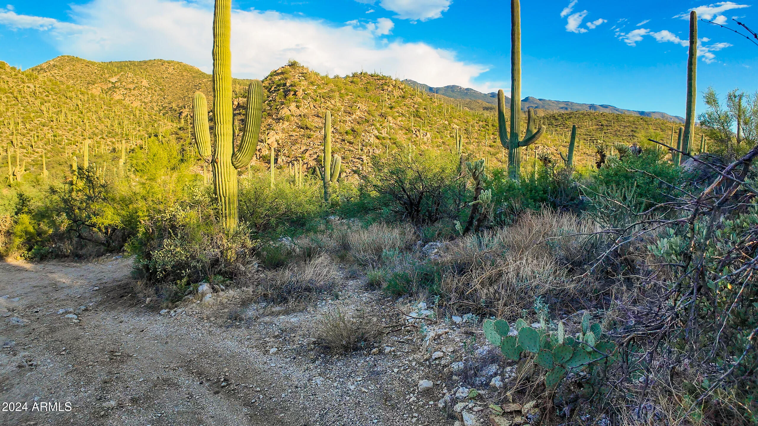 0 East Redington Road Tucson, AZ 85749 - Photo 3 of 40 TTP Tucson-37