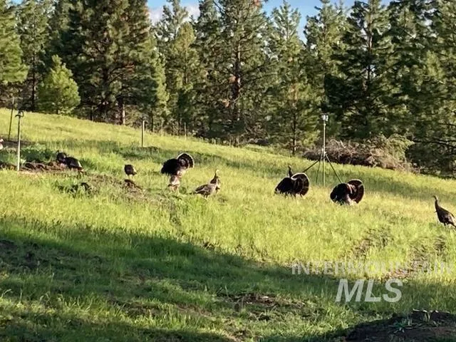 $2,400,000 | 40035 Ritter Road, Long Creek, OR 97856