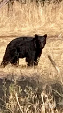 $2,400,000 | 40035 Ritter Road, Long Creek, OR 97856