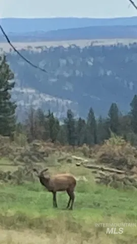 $2,400,000 | 40035 Ritter Road, Long Creek, OR 97856