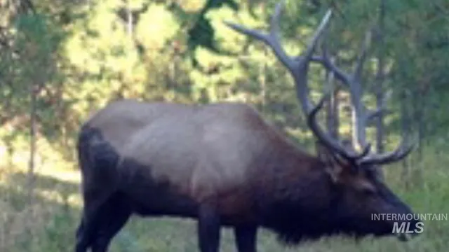 $2,400,000 | 40035 Ritter Road, Long Creek, OR 97856