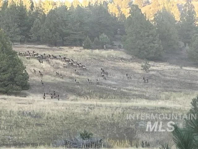 $2,400,000 | 40035 Ritter Road, Long Creek, OR 97856