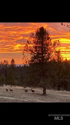 $2,400,000 | 40035 Ritter Road, Long Creek, OR 97856