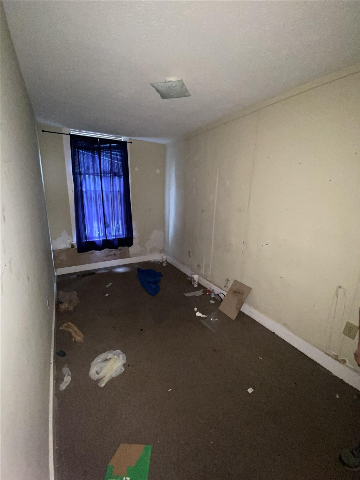 805 Perry Street Covington, KY 41011 - Photo 4 of 12