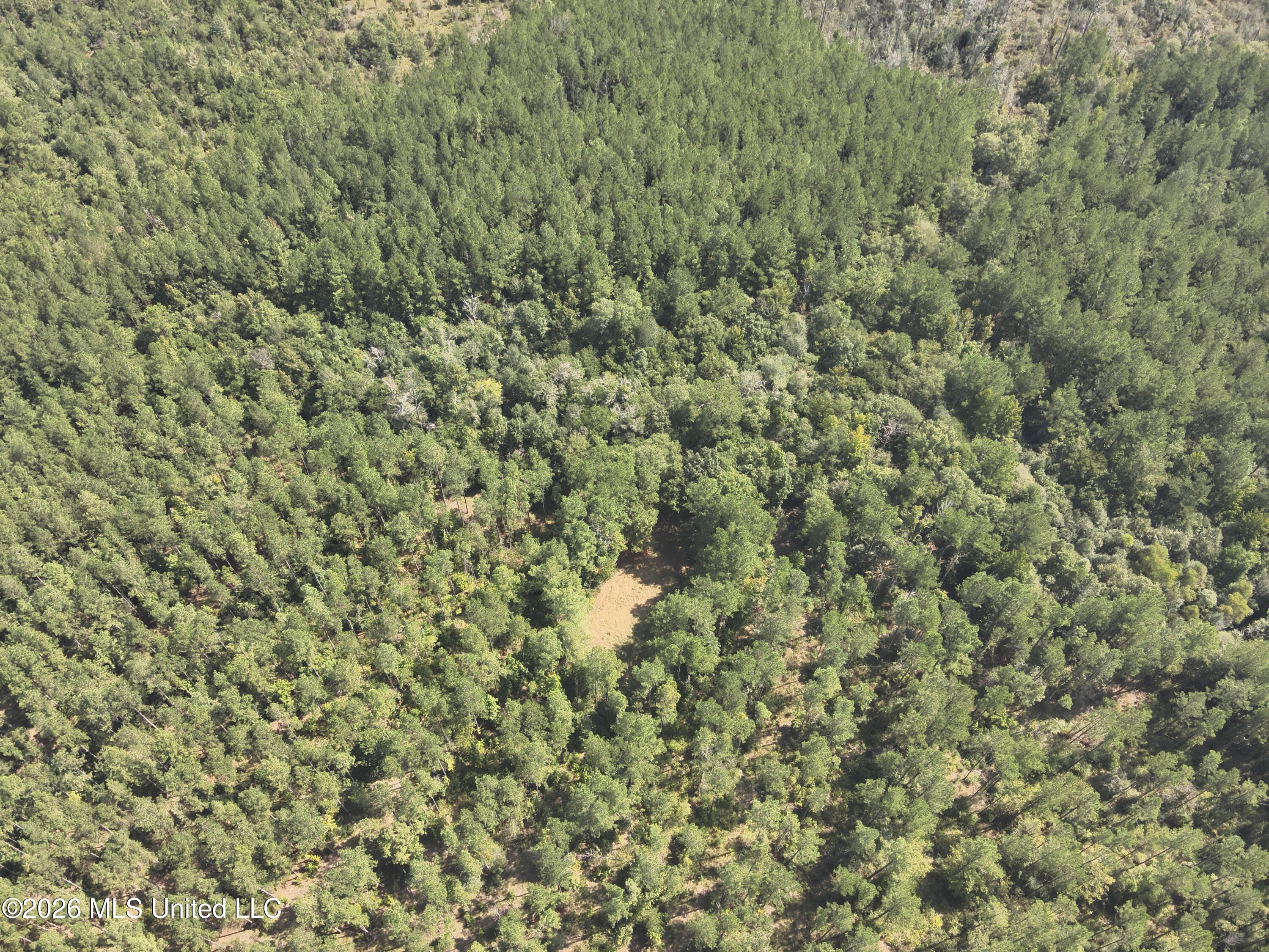 40 J W Jones Road Oak Vale, MS 39656 - Photo 14 of 16 DJI_20260826105348_0024_V