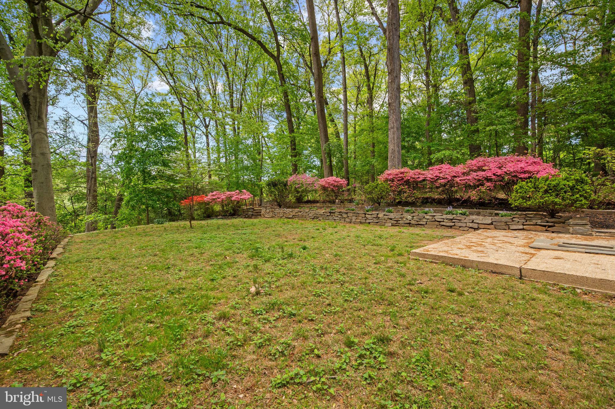 108 Denver Road Silver Spring, MD 20910 - Photo 31 of 35 Large back yard fenced
